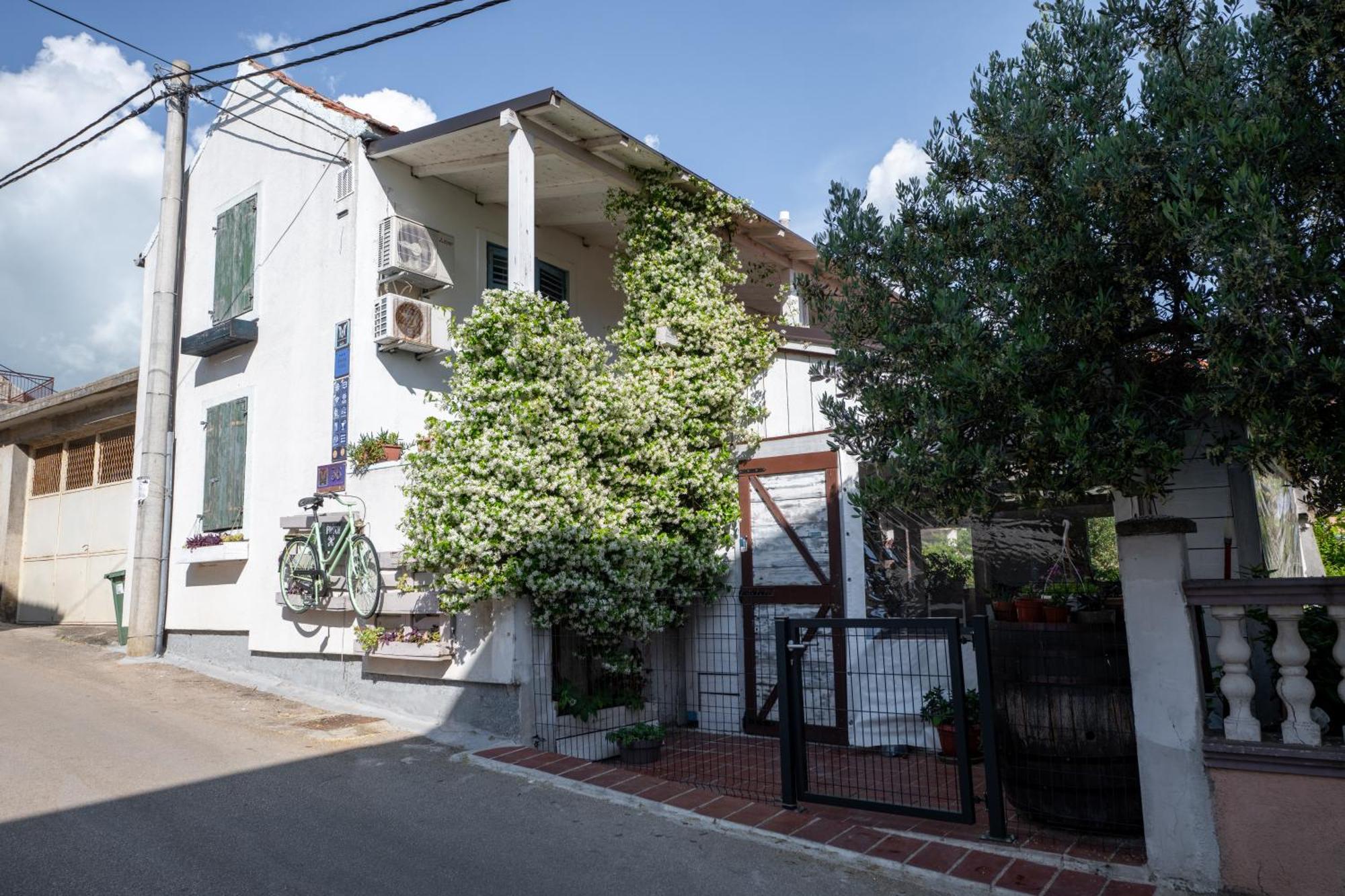 Guest House Mediterranea Pakoštane Exterior foto